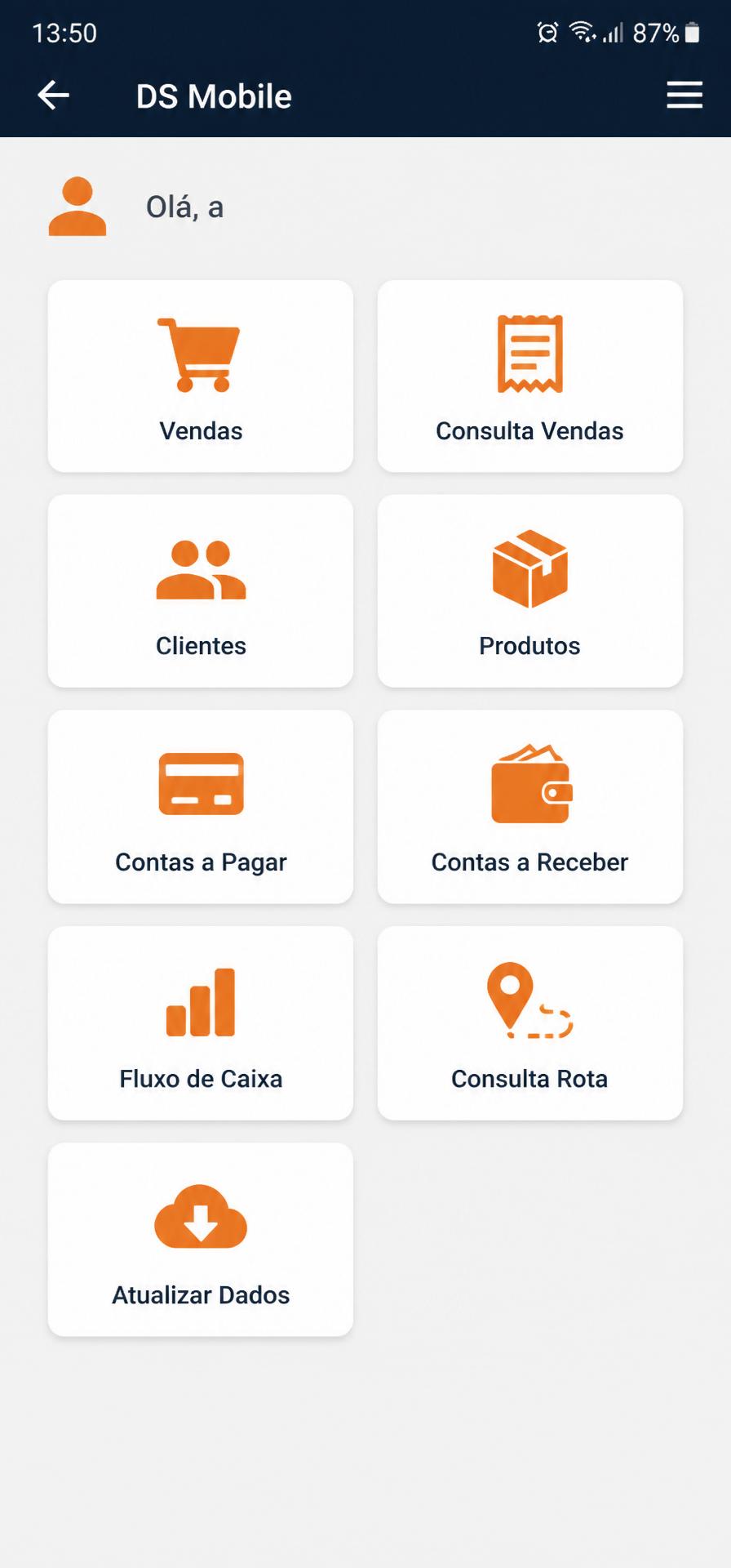 DS Mobile — menu principal com acesso a vendas, clientes, produtos, financeiro, rotas e atualização de dados